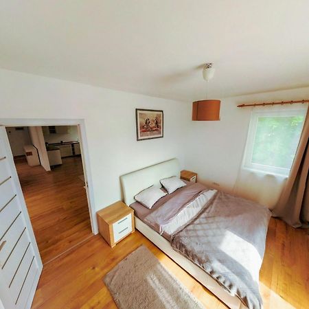 Dariana House Brasovアパートメント エクステリア 写真